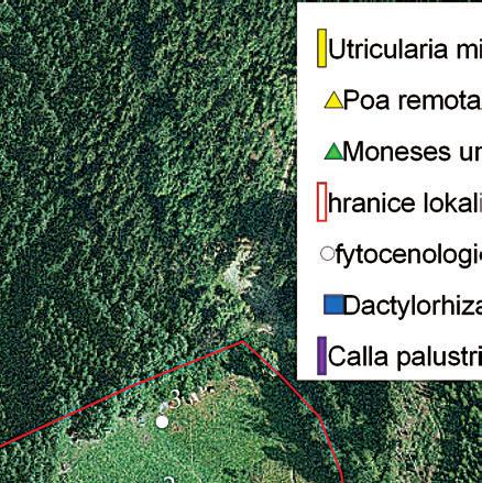Umístění zaznamenaných fytocenologických snímků jednotlivých typů vegetace a výskyt