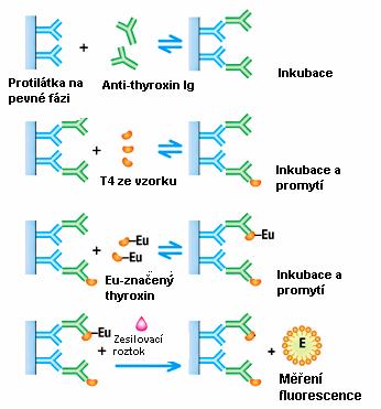 analytu ve vzorku - nekompetitivní (sendvičové): - fluorescenční sondou