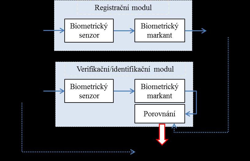 Identifikace je proces porovnání nasnímaného vzorku s dříve uloženými šablonami v databázi. Jde o porovnání jednoho k mnoha, 1:N.