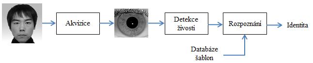 - Některé obrázky mohou být nasnímány ve špatné kvalitě, což vede k chybám při pozdějším rozpoznávání uživatele. - Duhovka se může měnit z důvodu nemoci člověka.