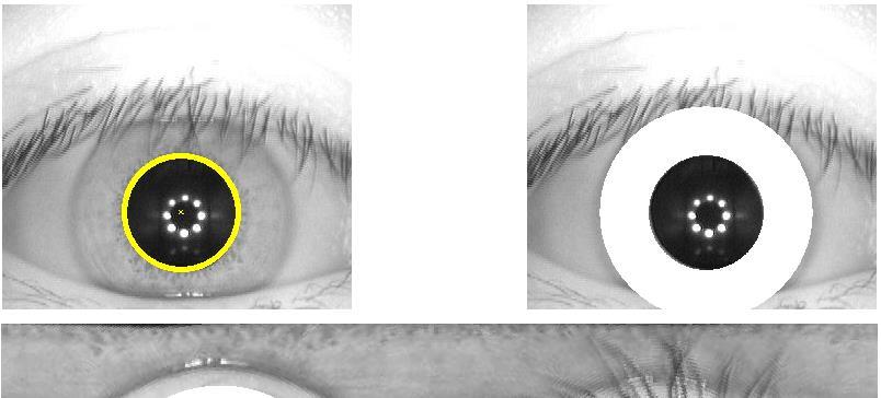 U snímků IITD by šlo u části snímků použít i vyšší poloměr pro duhovku, ale u většiny dalších snímků by to znamenalo velké navýšení uměle zanesených bílých pixelů v normalizovaném obrázku.