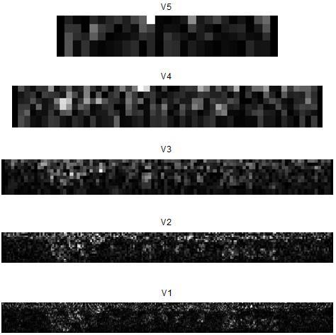 Obr. 4.20: Ukázka obrazů vertikálních detailů v pěti stupních dekompozice. 4.4.5 Výběr oblasti duhovky pro kódování příznaků Po aplikování DWT na normalizované obrazy následoval výběr oblastí duhovek pro kódování příznaků.