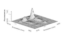 Deriváty rhodaminu Fluorofory s emisním maximem v oblasti kolem 600nm IF 5 4 3 2 1 0 550 600 650 700 750 Vlnová délka [nm] Luminiscence anorganických species v roztoku 1.