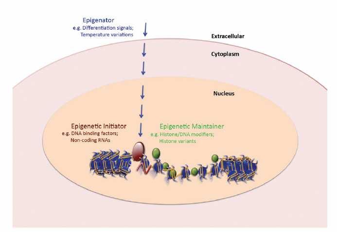 Berger et al.