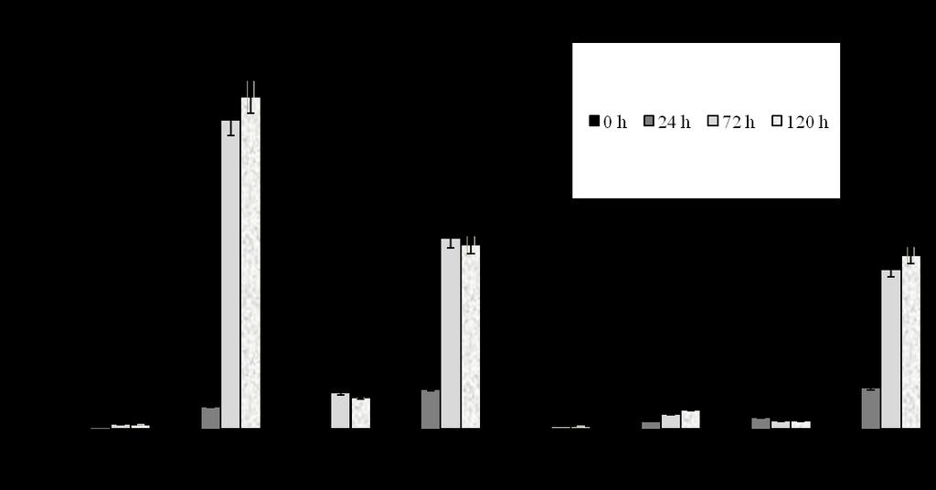 Obsah thiolů (µm) Výška píku (µa) Cystine GSSG PC2 PC3 PC5 I.