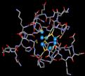 II. Metalothionein Izolace na bázi paramagnetických částic Nukleové kyseliny Proteiny a buňky Hybridizace komplementární sekvence Biotinylované nukloevé kyseliny Biotinylovaný protein Buňka DNA