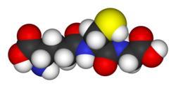 I. Nízkomolekulární biologicky aktivní thioly Glutathion Glutathion (GSH) je tripeptid složený z aminokyselin kyseliny glutamové, cysteinu a glycinu O O S H O H O N H N H O H N H 2 O Účastní se