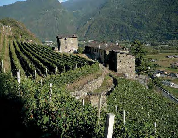 Vinice Fay jsou rozloženy na více než 14 hektarech ve Valtellině, největší vinařské terasovité horské oblasti Itálie, oblasti Valgella, která je jednou z pěti zón se statutem DOCG Superiore.