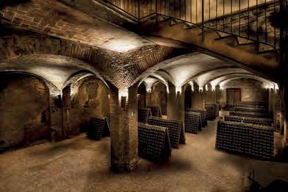 Contratto PIEMONTE Canelli Zakladatel vinařství Giuseppe Contratto se začal zabývat myšlenkou výroby šumivého vína již v roce 1867 a krátce po dokončení výstavby mimořádně rozsáhlých vápencových