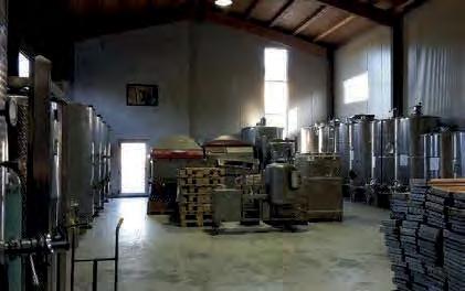 Vinařství Fontanassa se nachází v samém středu oblasti DOCG, Rovereto di Gavi.
