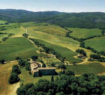 Vinice se rozkládají na 10 hektarech kopcovité krajiny v oblasti Montalcino, kde plně vyzrálé hrozny Sangiovese získávají díky ideálnímu mikroklimatu a půdě bohaté na minerály příjemné aroma a chuť