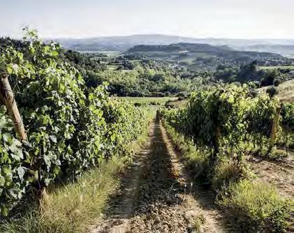 I Balzini TOSKÁNSKO Val d Elsa I Balzini, toskánská zemědělská farma a vinařství, vznikla v lokalitě starého zemědělského statku v oblasti Barberino Val d Elsa v