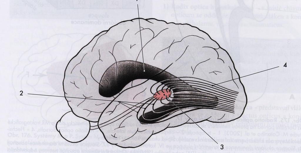 Radiatio optica 2