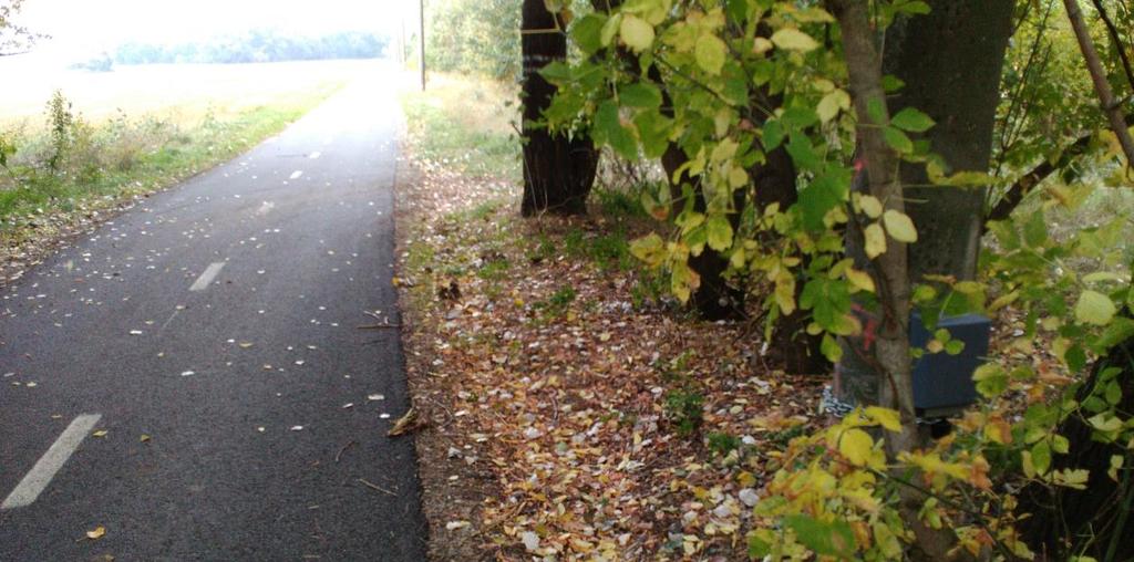 Po stezce je vedena mezinárodní cyklotrasa Eurovelo 9, dálková cyklotrasa Greenway Praha Wien a KČT č. 41.