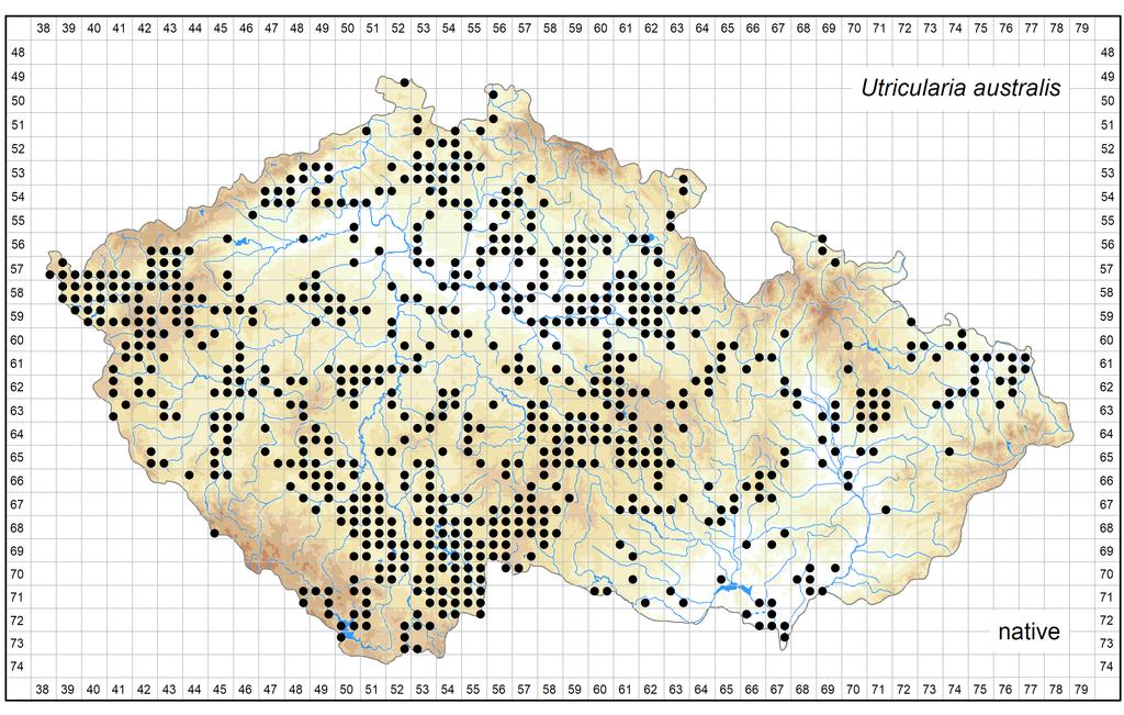 Distribution of Utricularia australis in the Czech Republic Author of the map: Zdeněk Kaplan Map produced on: 08-08-2017 Database records used for producing the distribution map of Utricularia