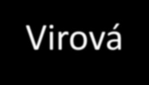 Virová (29%) +PCR, CXCL10>145pg/ml Bakteriální (50%)