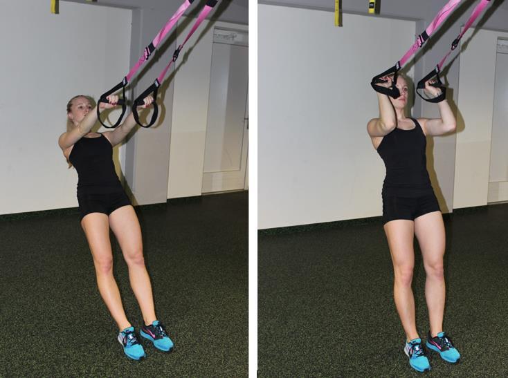 Biceps Curl Reverse Grip (Bic.