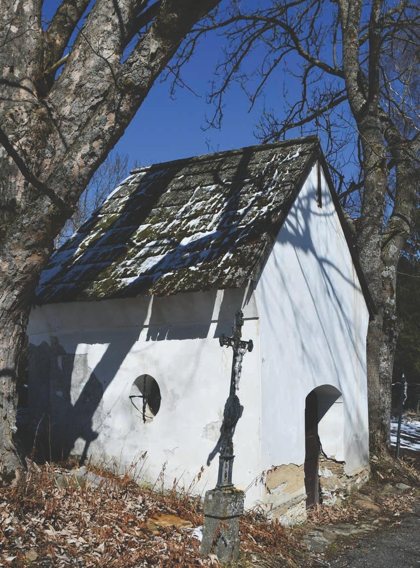 Krásná Lípa je mu vděčná za mnoho. Věnoval rodnému městu nemocnici, městské lázně, sirotčinec a chudobinec, podpořil stavbu městského vodovodu, vybudoval městský park.