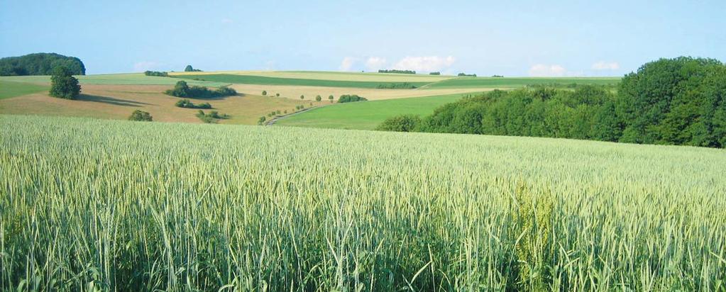 AS-Front přední traktorové pneumatiky AS-Front Diagonální pneumatiky pro přední kola traktorů