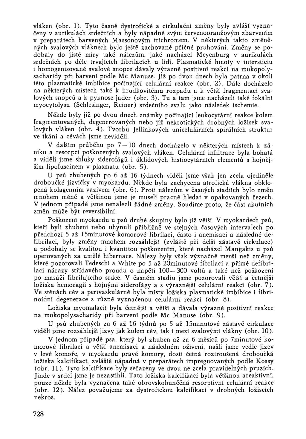 vláken (obr. 1). Tyto časné dystrofické a cirkulační změny byly zvlášť vyznačeny v aurikulách srdečních a byly nápadné svým červenooranžovým zbarvením v preparátech barvených Massonovým trichromem.