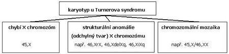 Genetická příčina potíží - vrozené onemocnění, postiženy jsou vždy ženy - chromozomová aberace (numerická odchylka gonozomů) - monosomie chromozomu X Karyotypy: -