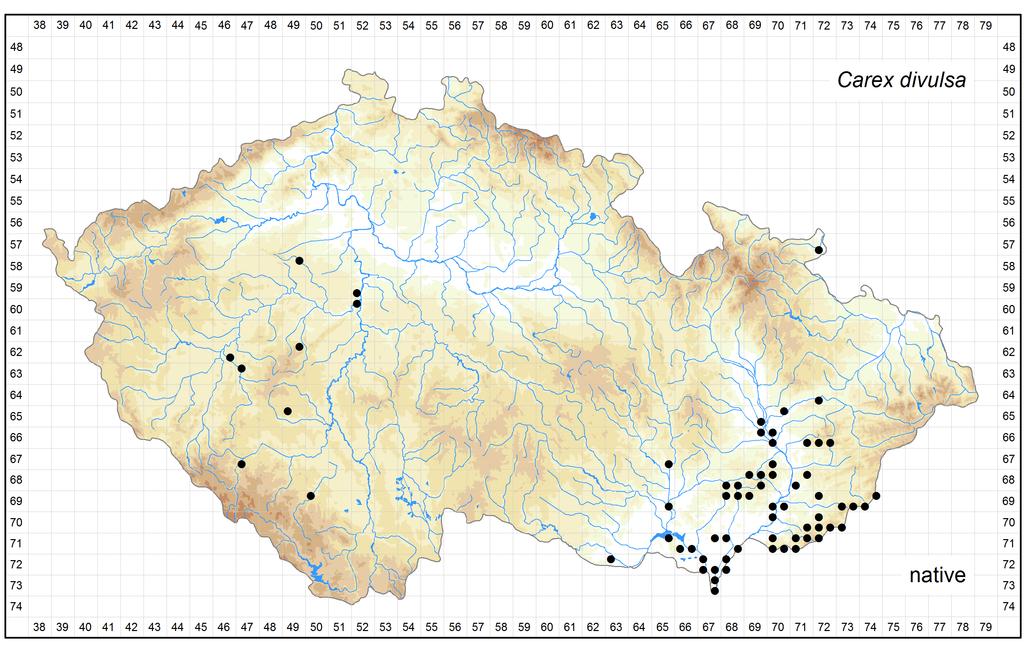 Distribution of Carex divulsa in the Czech Republic Author of the map: Vít Grulich, Radomír Řepka Map produced on: 12-05-2016 Database records used for producing the distribution map of Carex divulsa