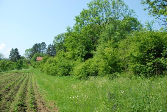 využívána k rekreaci (chata), část