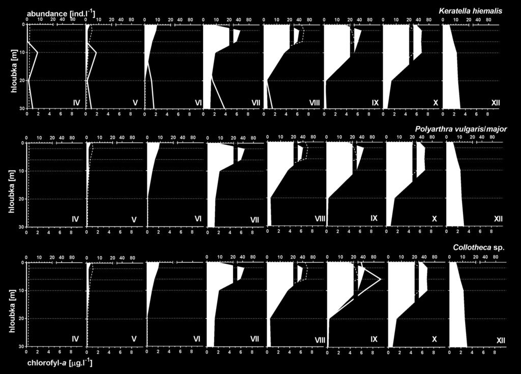 perlooček (šedá výplň) a vertikální změny chlorofylu-a (přerušovanou čarou) v