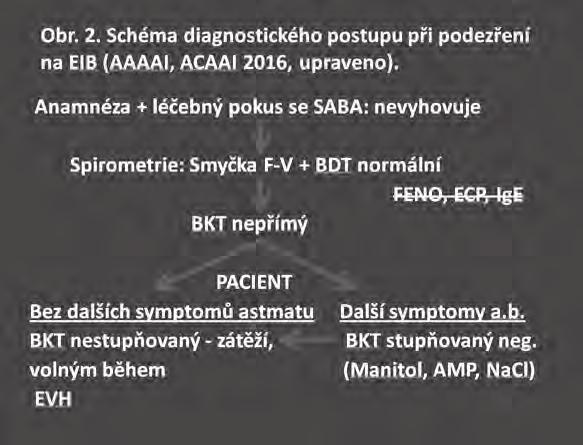 Základní podmínky, provedení a kontraindikace spirometrie jsou uvedeny Sekcí patofyziologie dýchání ČPFS (9).