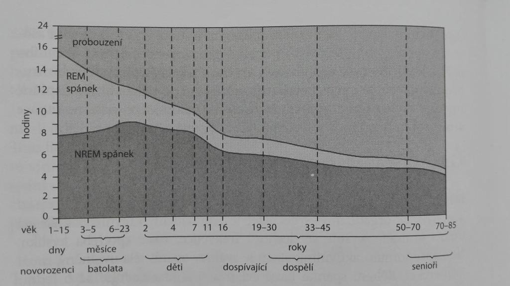 spánek monofázický. V seniorském věku se pak často odpolední siesta vrací či může spánek přejít až do spánku polyfázkého. Čím jsme starší, tím je noční spánek kratší. Obr.