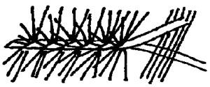 e) Froté nit patří mezi smyčkové nitě malé smyčky (Obr. 2.11).