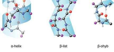 další helixy β -skládaný list
