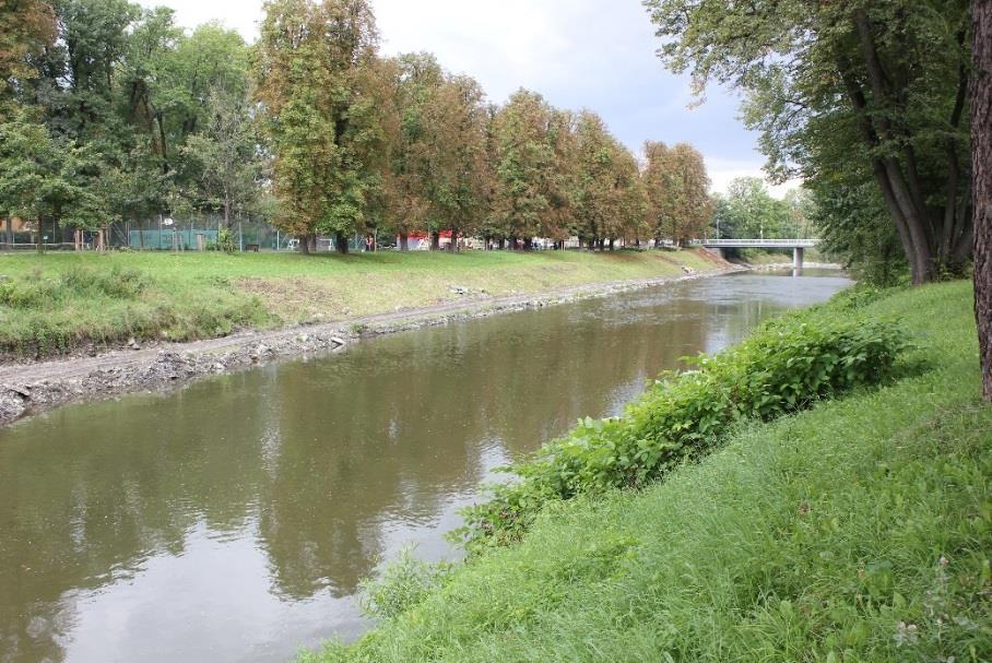 Obrázek 10 Olše pod zaústěním Puncówky Od silničního mostu (km 37.932) až po železniční most (km 36,502), který ohraničuje řešenou oblast na dolním úseku, protéká Olše městskou zástavbou.