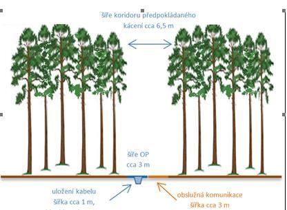 Uplatnění OP kabelového vedení k omezení plnění funkce lesa Každé kabelové vedení má zákonem stanovené ochranné pásmo, u kabelového vedení 110 kv je to 1 metr na každou stranu.
