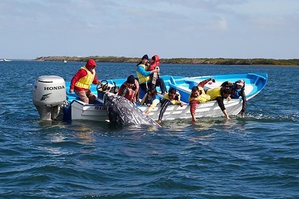 2. výlet do Todos Santos Celodenní výlet do Todos Santos malé bohémské městečko s uměleckou komunitou na pobřeží Tichého oceánu.