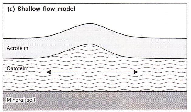 2.4 Hydrodynamické modelování 2.4.1 Analytický přístup Prvním pokusem modelovat hydrodynamické procesy bylo použití všeobecné vodní bilance.