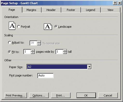 3. Vyberte položku Page Setup (Vzhled stránky) a zvolte požadovanou možnost Paper Size (Formát papíru). 4. Vyberte položku Options (Možnosti) a přejděte do ovladače tiskárny.