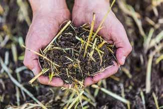 Rozsáhlé mělké seťové lůžko může být později eliminováno druhým přejezdem pro zajištění vysoce hygienického pole pro příští plodinu.