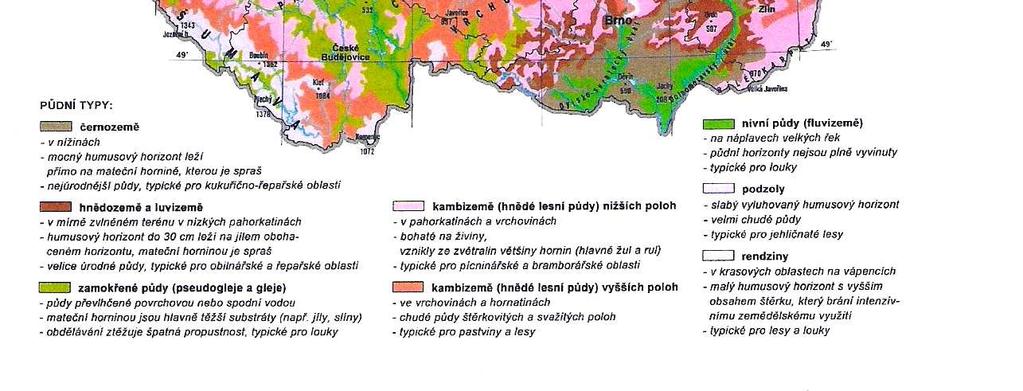 vegetace podzemní voda činnost člověka V okolí Velkého Meziříčí, které spadá do mírně teplé oblasti ( tedy průměrné roční teploty kolem +7 o C, 600-700 mm srážek ), se