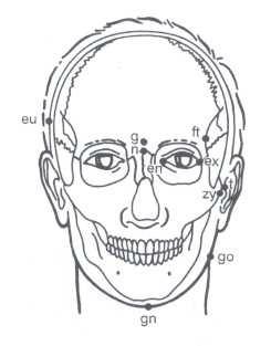 Antropometrické body hlavy Glabella (g) bod ležící nad nosním kořenem na dolní části čela, nejvíce vpředu v mediánní rovině mezi obočím.