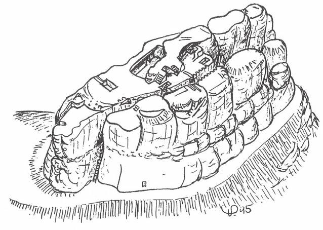 Obr. 2 - Současná podoba skalního hradu Falkenštejn, pohled od JZ (podle Peša 2002).