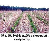 23 Pásové zpracování půdy se používá především u širokořádkových plodin (kukuřice, sója). Velmi dobře působí v protierozní ochraně půdy (KOSTELANSKÝ & PROCHÁZKOVÁ, 1997). 7.