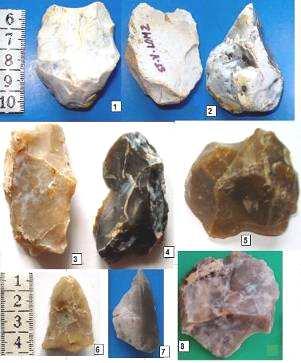 XVI. OSTATNÍ PALEOLITICKÉ LOKALITY V závěru tohoto příspěvku představuji ještě velmi stručně dalších šest archeologických lokalit ze širšího okolí Bílovce.
