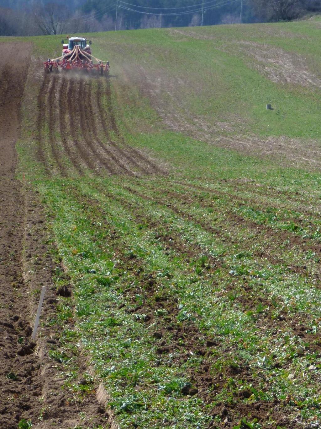 zbytků v meziřádcích) - uložení hnojiv blízkosti kořenů