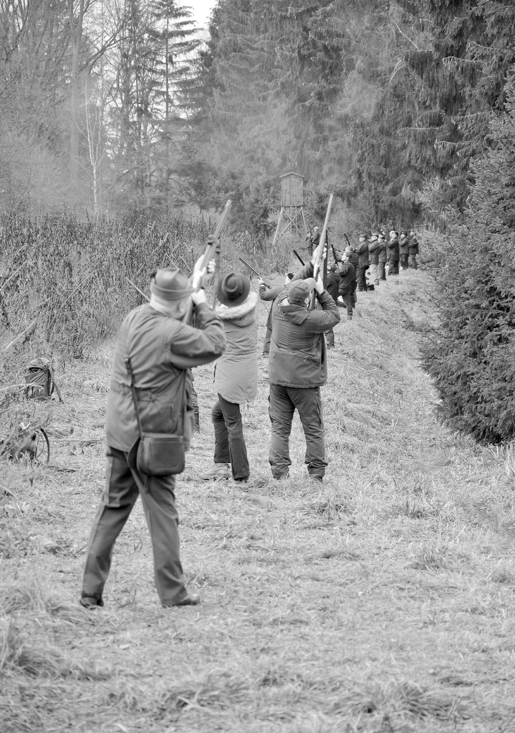 Pozvánka na HON NA BAŽANTY, který se bude konat dne 23.