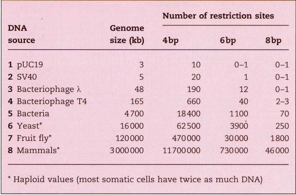 Počet restrikčních míst pro daný enzym