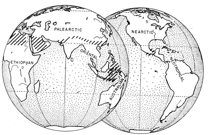 Biogeografické oblasti