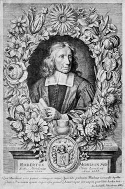 Historie botaniky v obrazech 5. Robert Morison (1620 1683) Tělesný lékař krále Karla II.