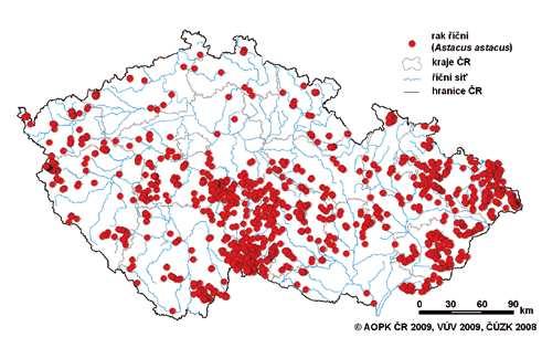 století byl v Evropě téměř vyhuben račím morem -