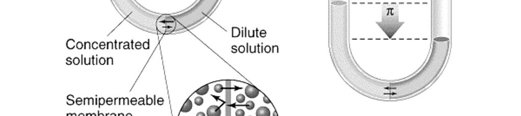 Osmóza Semipermeabilní membrána Propustí molekuly